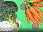 A EMENTA DA ORDEM DOS NUTRICIONISTAS PARA COMER POR MENOS DE 7 EUROS POR DIA, DE SEGUNDA A SEXTA-FEIRA
