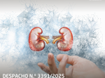 Despacho n.º 3391/2025
