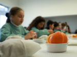 Ordem critica Governo por atraso no concurso para nutricionistas para as escolas
