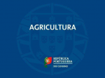 Ministério da Agricultura - Mensagem da Bastonária da Ordem dos Nutricionistas